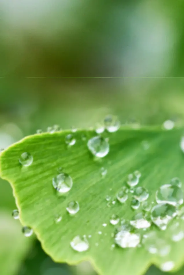 Sustainable Development